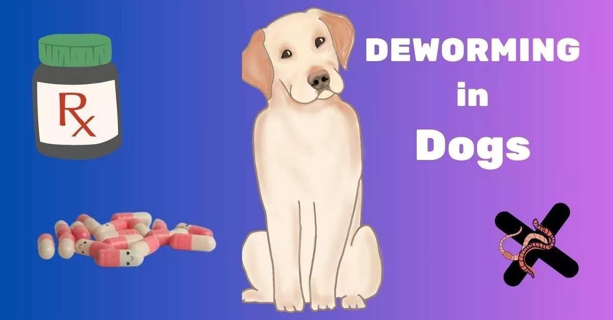 Deworming in dogs and puppies.