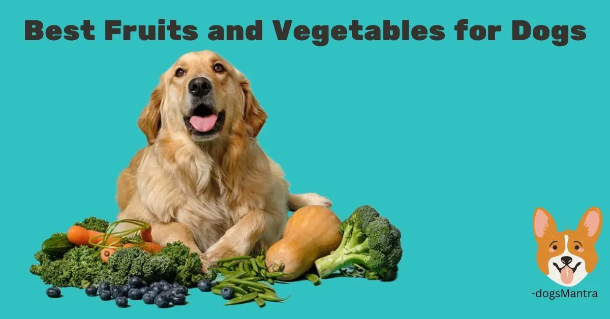 Fruits and Vegetables for Dogs.