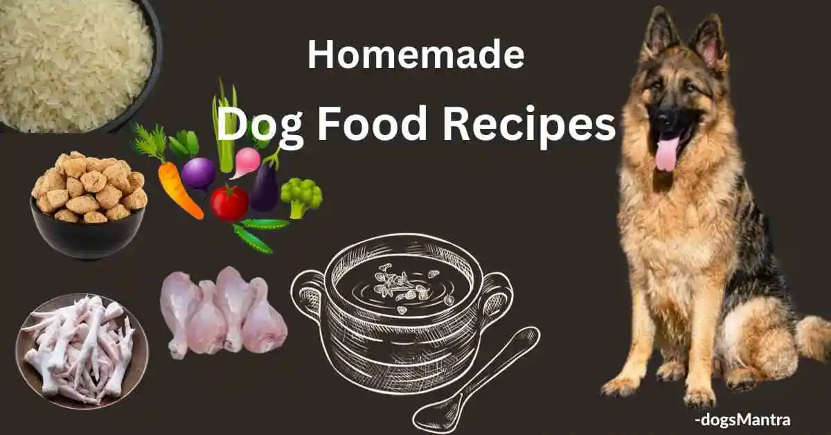 Homemade Dog Food Recipes.