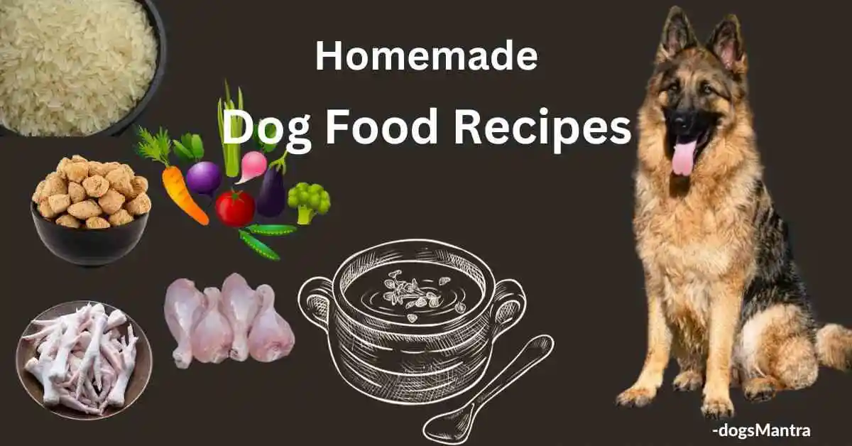 8 Healthy Homemade Dog Food Recipes For Large Dogs